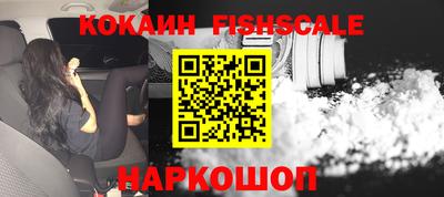 дмт Бийск