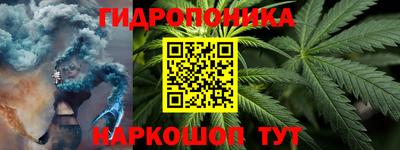 крисы Берёзовский