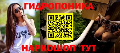 крисы Берёзовский