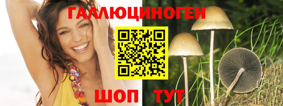 Псилоцибиновые грибы Psilocybe Артёмовский